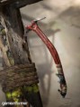 /album/galeria12/trnv-tombraider9-45-jpg/